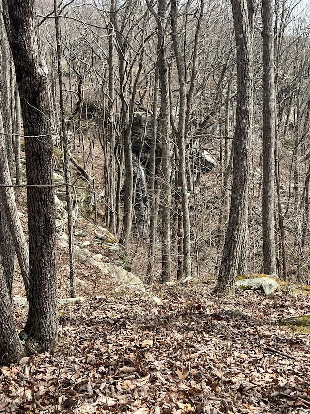 4441 Deer Run Rd, Altamont, TN 37301