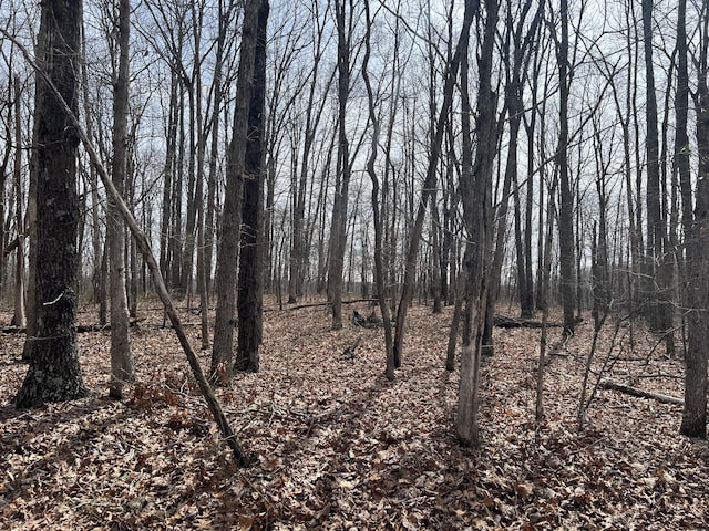 4441 Deer Run Rd, Altamont, TN 37301