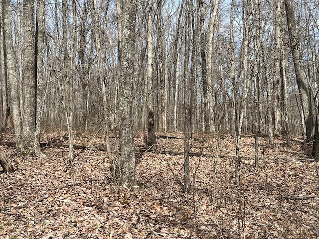 4441 Deer Run Rd, Altamont, TN 37301