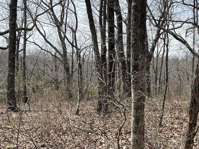 4441 Deer Run Rd, Altamont, TN 37301
