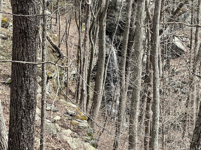 4441 Deer Run Rd, Altamont, TN 37301