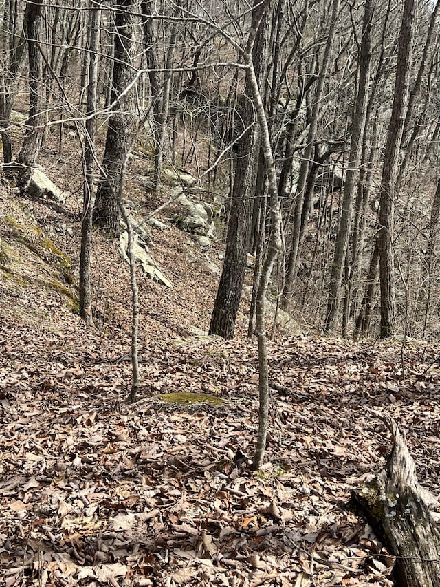 4441 Deer Run Rd, Altamont, TN 37301
