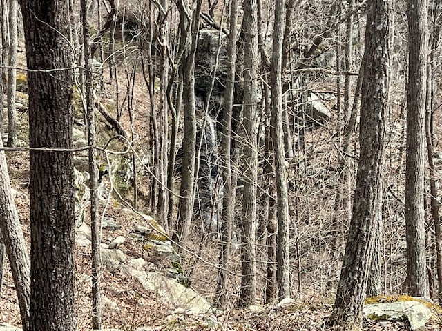 4441 Deer Run Rd, Altamont, TN 37301