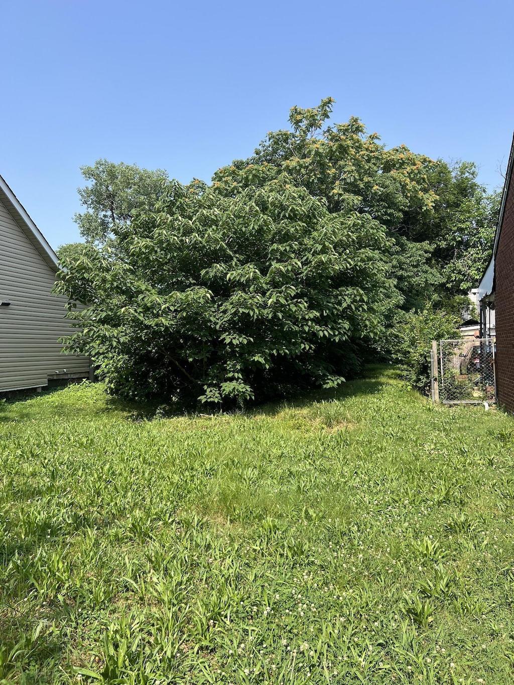 610 26th Ave N, Nashville, TN 37209 - photo 3