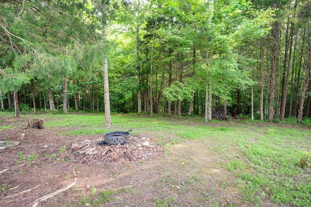 828 Kirbytown Rd, Lafayette, TN 37083 - photo 28