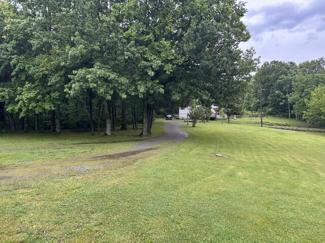 9780 Spantown Rd, Arrington, TN 37014 - photo 5