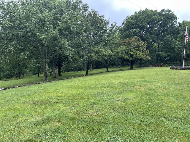 9780 Spantown Rd, Arrington, TN 37014 - photo 4