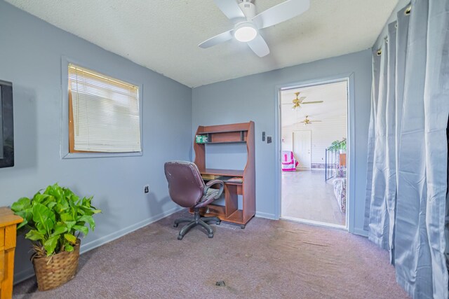 423 Shady Grove Rd, Flintville, TN 37335 - photo 38