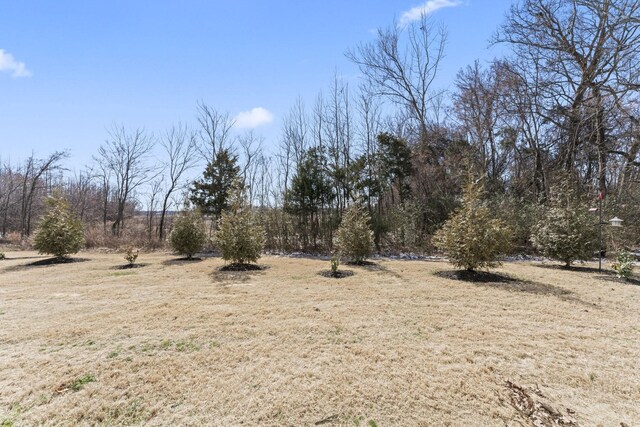 5711 Dockside Dr, Rockvale, TN 37153 - photo 28