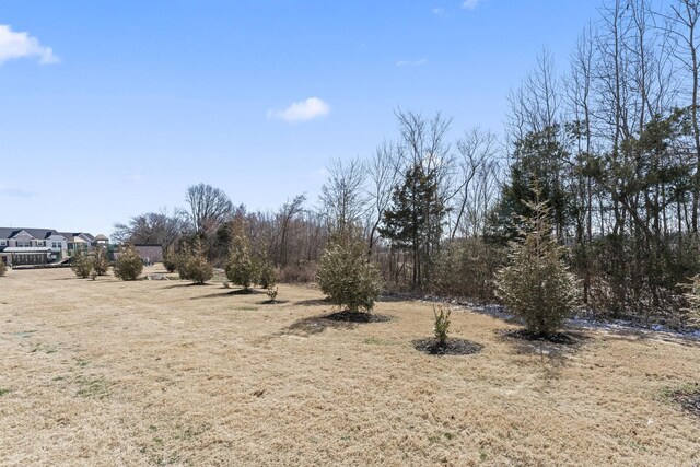 5711 Dockside Dr, Rockvale, TN 37153 - photo 29