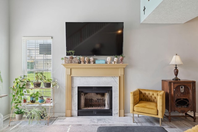 2104 Loudenslager Dr, Thompsons Station, TN 37179 - detailed view of a premium fireplace and wood finished floors