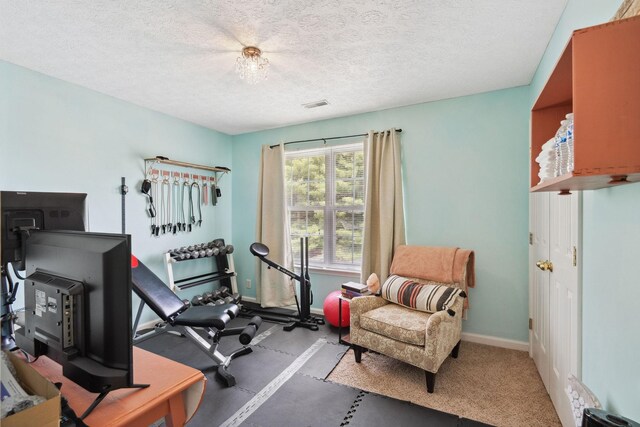 2104 Loudenslager Dr, Thompsons Station, TN 37179 - workout area featuring baseboards and a textured ceiling