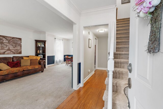 8954 Sawyer Brown Rd, Nashville, TN 37221 - photo 15