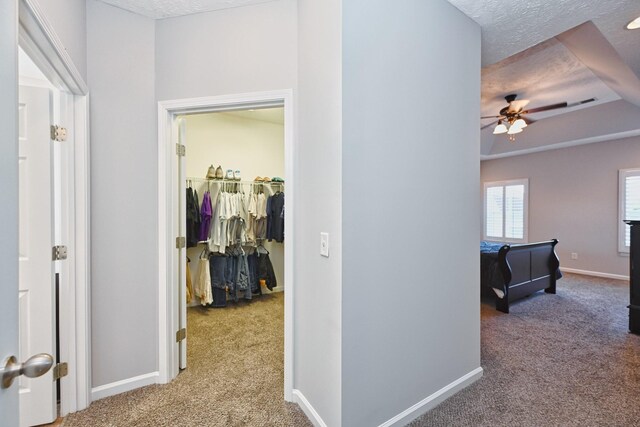 493 Callie Ave, Gallatin, TN 37066 - photo 13