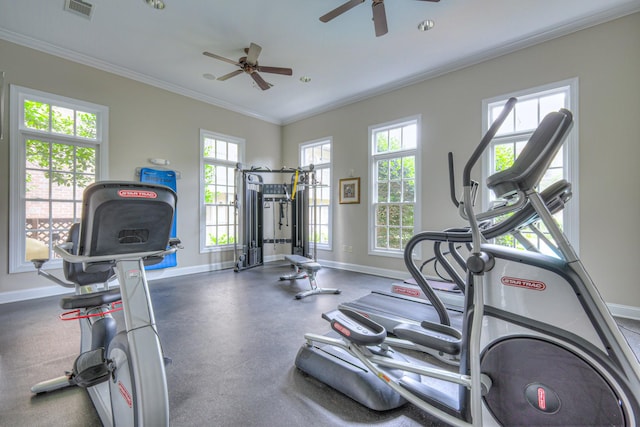 523 Grant Park Ct, Franklin, TN 37067 - photo 28