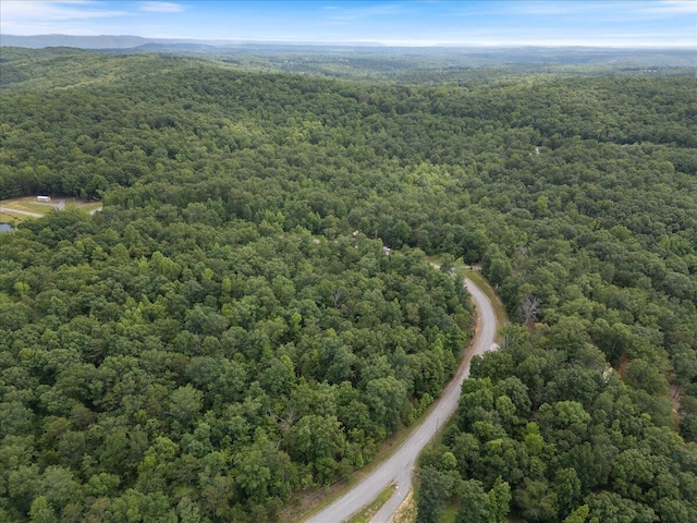 0 Chesadu Cir, South Pittsburg, TN 37380 - photo 6