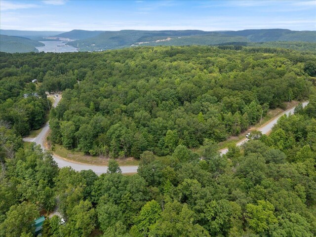 0 Chesadu Cir, South Pittsburg, TN 37380 - photo 9