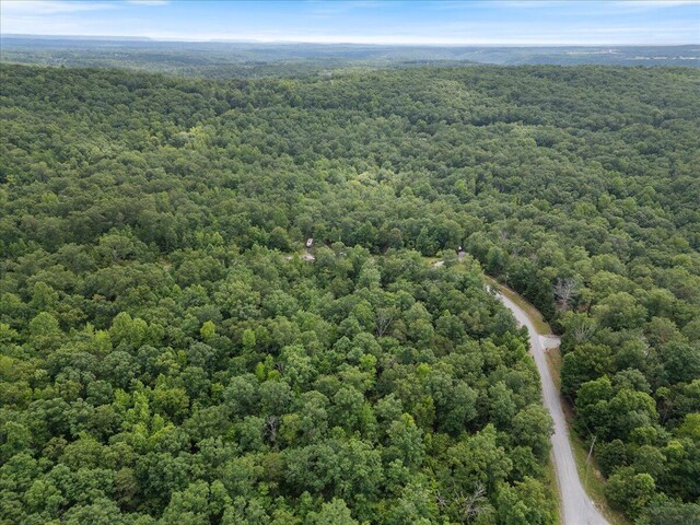0 Chesadu Cir, South Pittsburg, TN 37380 - photo 5
