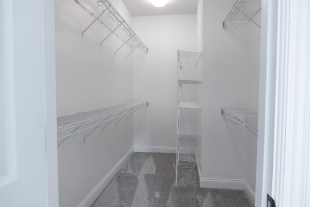 1159 Fairvue Village Ln, Gallatin, TN 37066 - walk in closet with carpet flooring