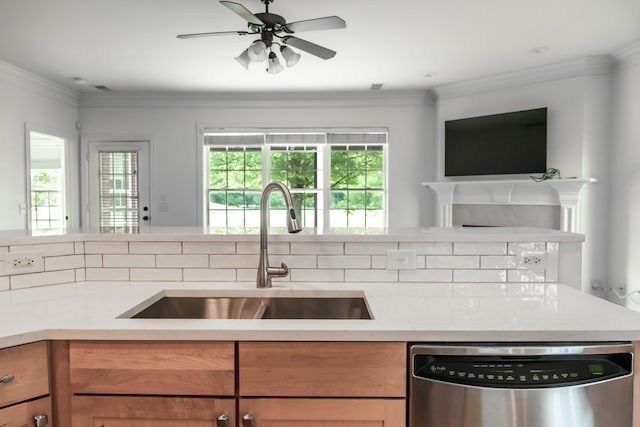 1159 Fairvue Village Ln, Gallatin, TN 37066 - kitchen with stainless steel dishwasher, a sink, light countertops, plenty of natural light, and crown molding