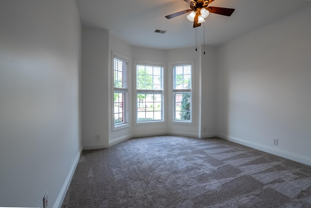 1159 Fairvue Village Ln, Gallatin, TN 37066 - unfurnished room with plenty of natural light, carpet flooring, and baseboards