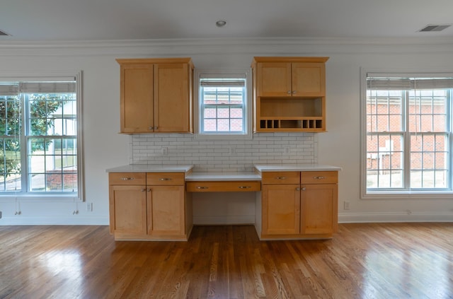 1159 Fairvue Village Ln, Gallatin, TN 37066 - kitchen with baseboards, wood finished floors, plenty of natural light, light countertops, and ornamental molding