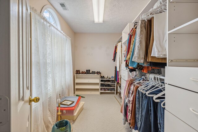 6873 Giles Hill Rd, College Grove, TN 37046 - walk in closet with carpet
