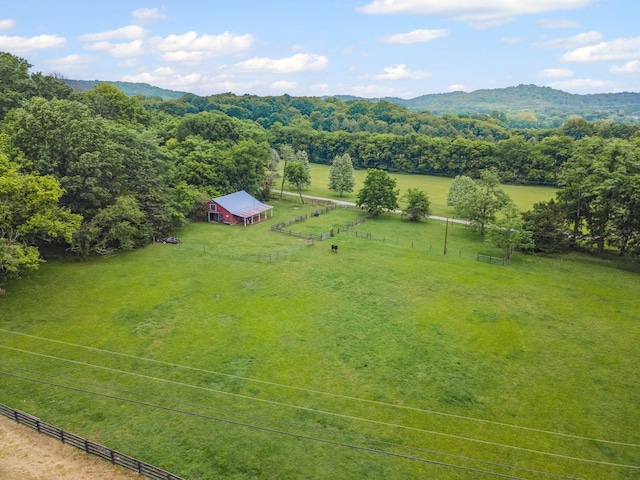 6873 Giles Hill Rd, College Grove, TN 37046 - overview of rural landscape featuring agricultural land and a mountainous background