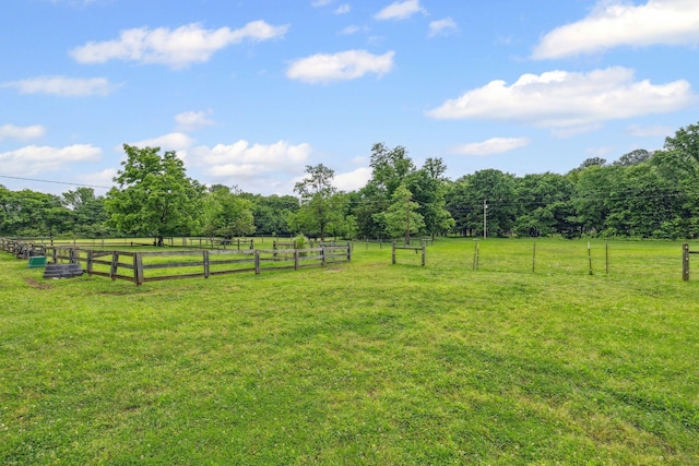 6873 Giles Hill Rd, College Grove, TN 37046 - view of yard featuring a view of countryside