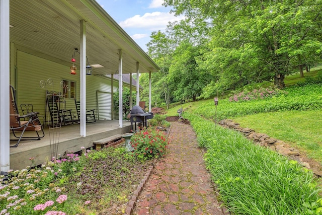 6873 Giles Hill Rd, College Grove, TN 37046 - view of yard