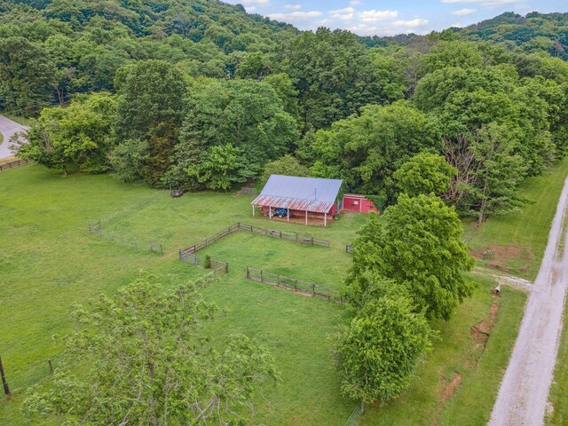 6873 Giles Hill Rd, College Grove, TN 37046 - overview of rural landscape featuring a heavily wooded area