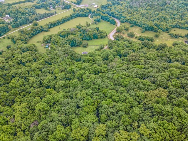 6873 Giles Hill Rd, College Grove, TN 37046 - drone / aerial view of a heavily wooded area
