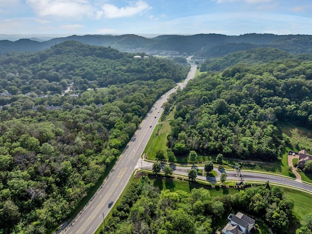 1655 Valle Verde Dr, Brentwood, TN 37027 - photo 6