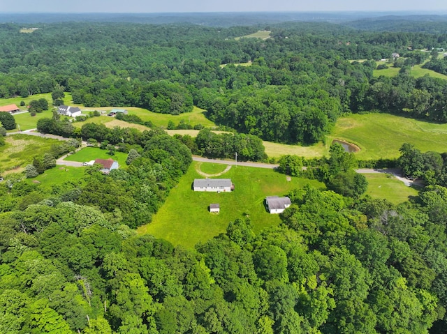 947 Buck Branch Rd, Charlotte, TN 37036 - bird's eye view of a heavily wooded area