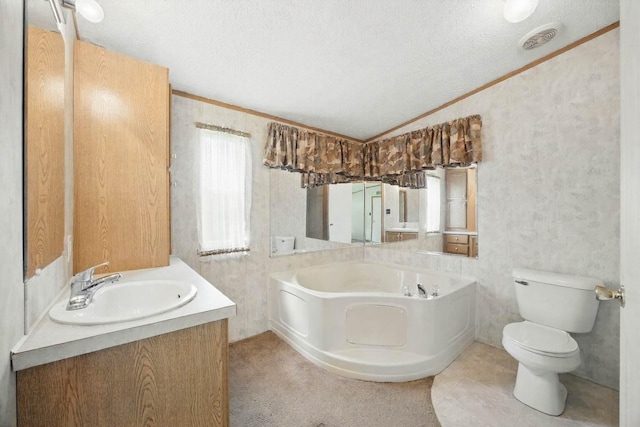 947 Buck Branch Rd, Charlotte, TN 37036 - bathroom featuring a textured ceiling, a bath, vanity, toilet, and lofted ceiling