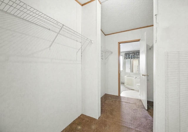 947 Buck Branch Rd, Charlotte, TN 37036 - walk in closet with carpet floors