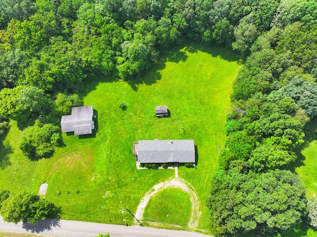 947 Buck Branch Rd, Charlotte, TN 37036 - aerial view