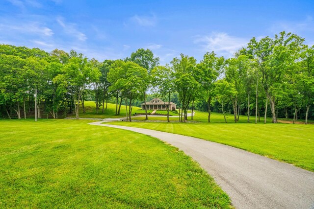 2787 Ewell Elliott Rd, Springfield, TN 37172 - photo 4