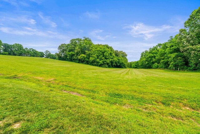 2787 Ewell Elliott Rd, Springfield, TN 37172 - photo 60