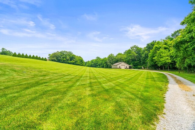 2787 Ewell Elliott Rd, Springfield, TN 37172 - photo 52