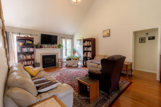 674 Superior Ln, Clarksville, TN 37043 - living area featuring high vaulted ceiling, wood finished floors, and a glass covered fireplace