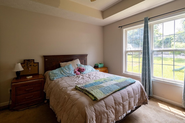 674 Superior Ln, Clarksville, TN 37043 - bedroom featuring carpet flooring and baseboards