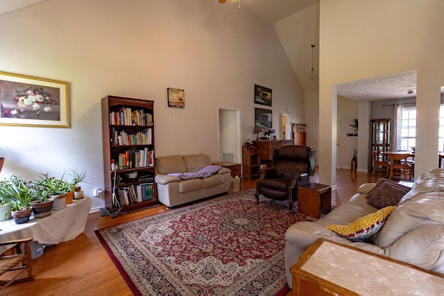 674 Superior Ln, Clarksville, TN 37043 - living area with wood finished floors, high vaulted ceiling, and ceiling fan