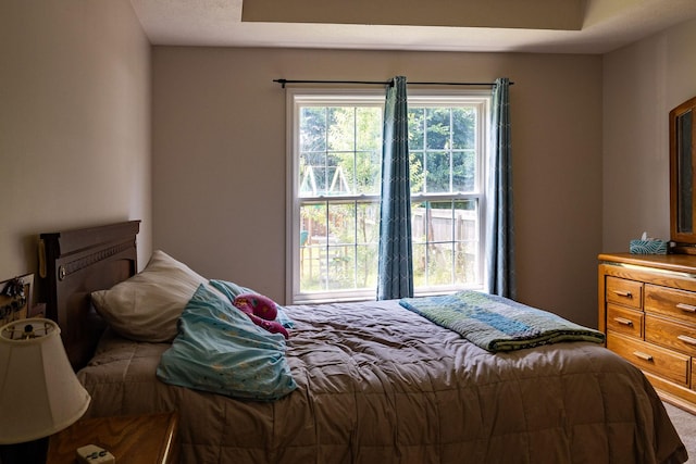 674 Superior Ln, Clarksville, TN 37043 - view of bedroom