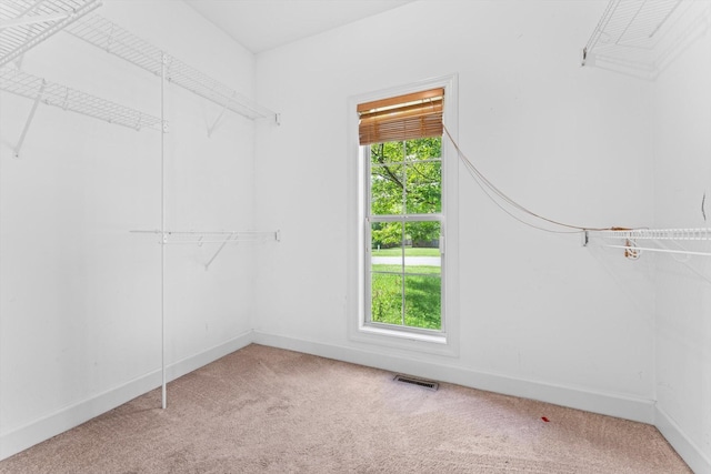 3696 Prestwicke Pl, Adams, TN 37010 - spacious closet with carpet flooring