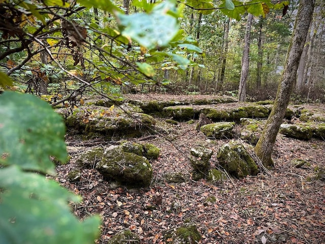 1150 Deer Run Rd, Murfreesboro, TN 37128 - view of undeveloped land