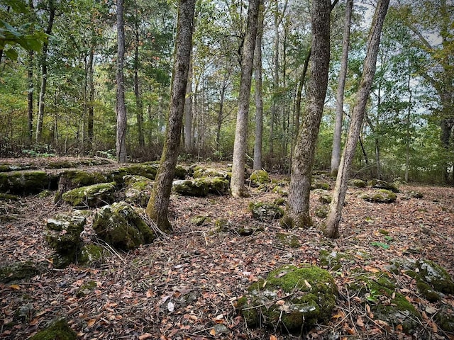1150 Deer Run Rd, Murfreesboro, TN 37128 - view of woods