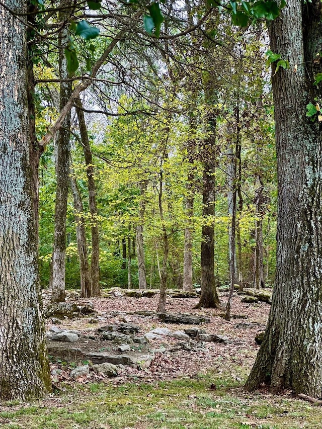 1150 Deer Run Rd, Murfreesboro, TN 37128 - view of tree filled area