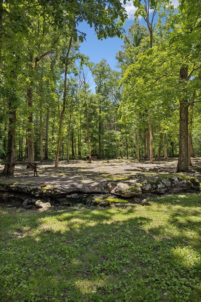 1150 Deer Run Rd, Murfreesboro, TN 37128 - view of green lawn