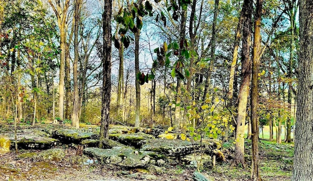 1150 Deer Run Rd, Murfreesboro, TN 37128 - view of nature